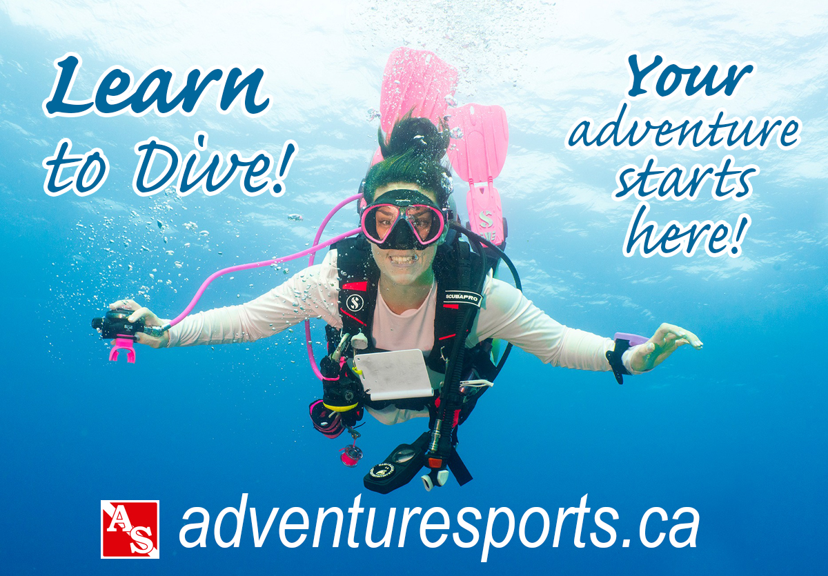 PADI Open Water Diver Certification - ALL Training Included Package