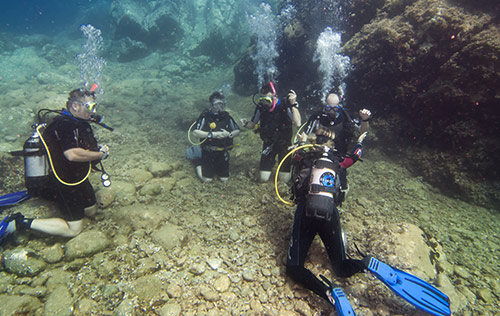 PADI Divemaster