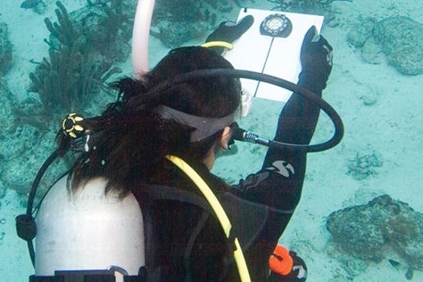 Underwater Navigator