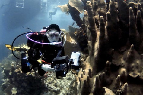 Coral Reef Conservation Diver