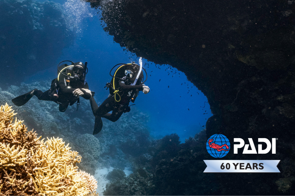 The Divers Inc Difference