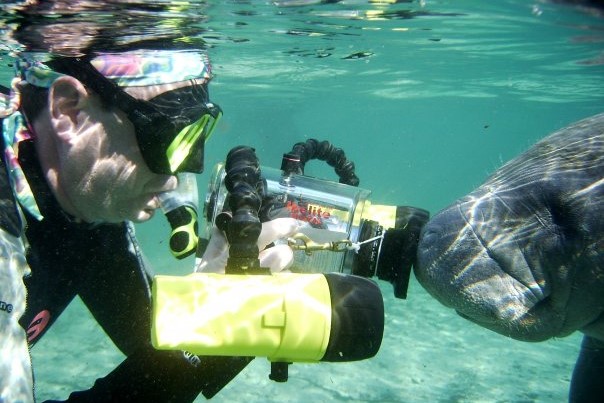 Underwater Videographer