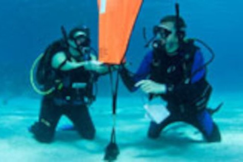 Search And Recovery Diver