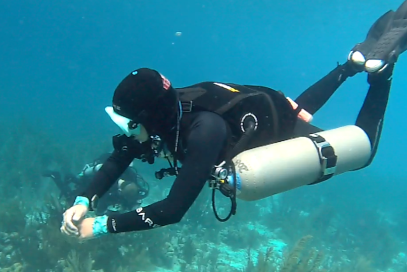 Tec Sidemount Instructor