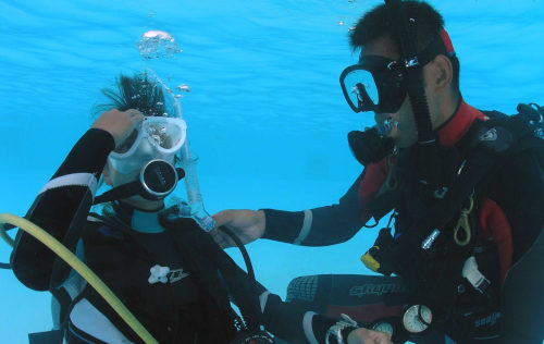 Sea Turtle Awareness