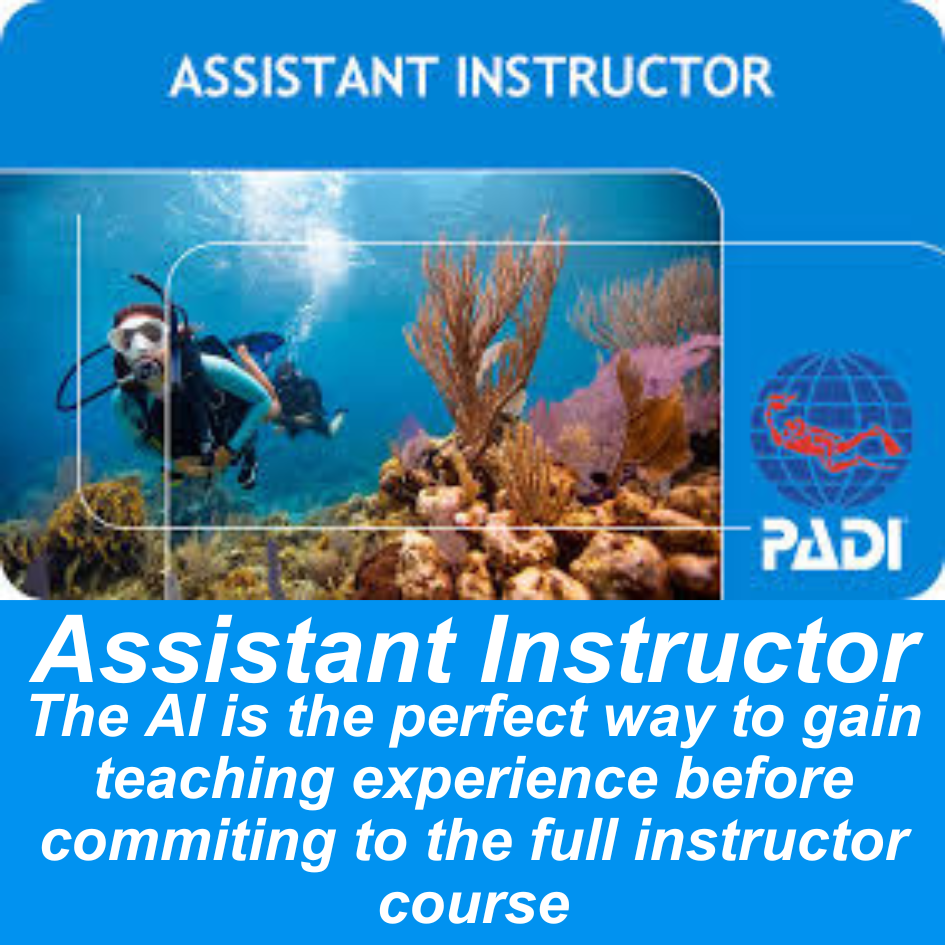 Assistant Instructor Assistant Instructor
