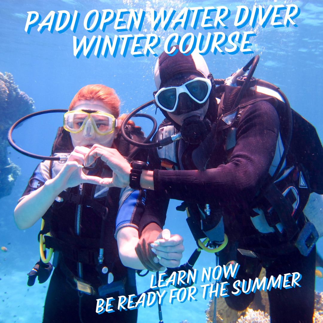 PADI Open Water Diver – Winter Course (January–May)