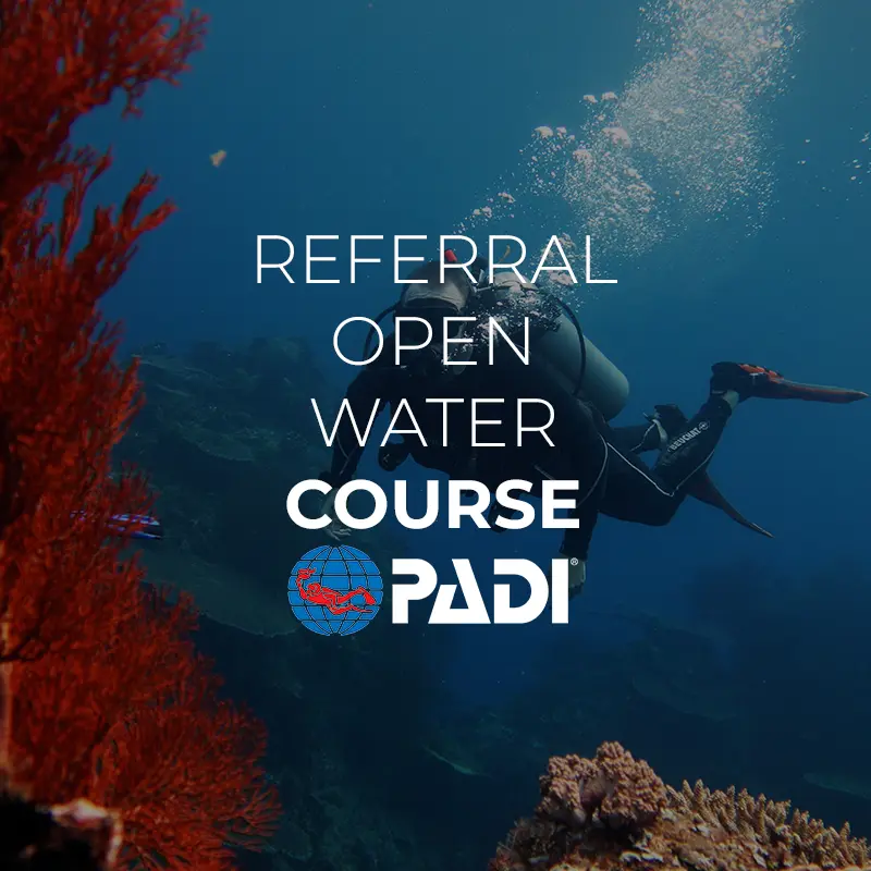 PADI Open Water Referal