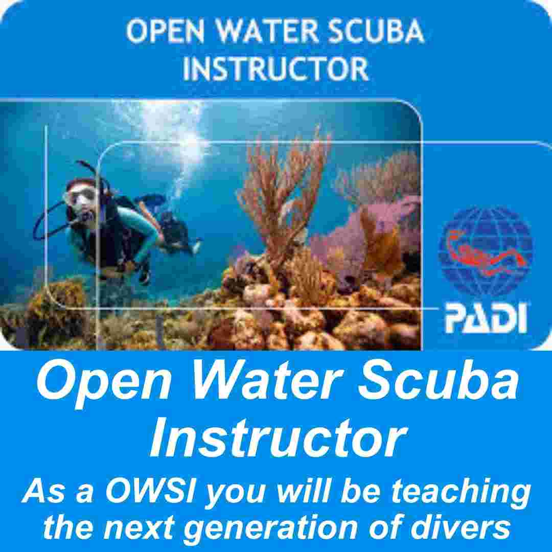 PADI Instructor Devlopment Course (IDC) PADI Instructor Devlopment Course (IDC)