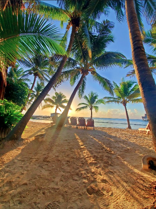 BELIZE 2026 - RAMON'S VILLAGE BELIZE 2026 - RAMON'S VILLAGE