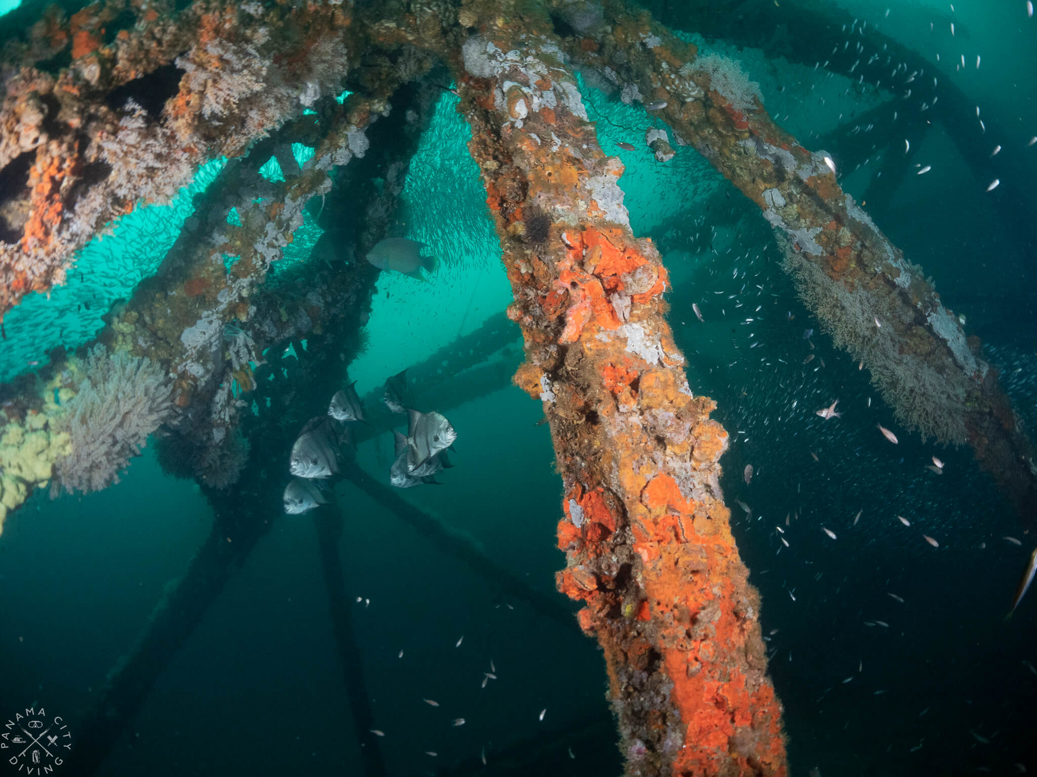 Vortex Spring / Panama City Beach, Florida