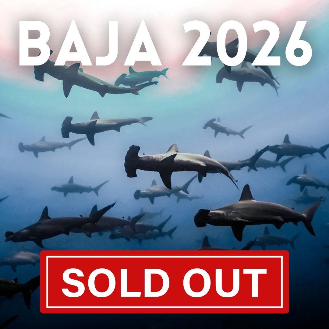 Baja Exploration 2026