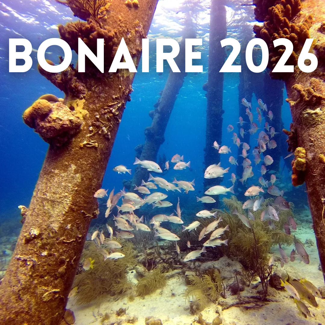 Bonaire - Dive Resort 2026 #2