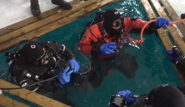Ice Diver