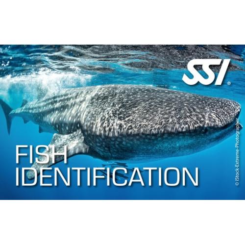 Fish Identification