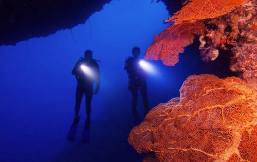 Master Scuba Diver Master Scuba Diver