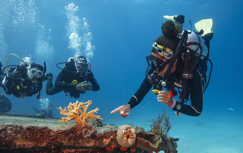 Divemaster Divemaster