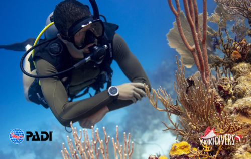 Coral Reef Conservation