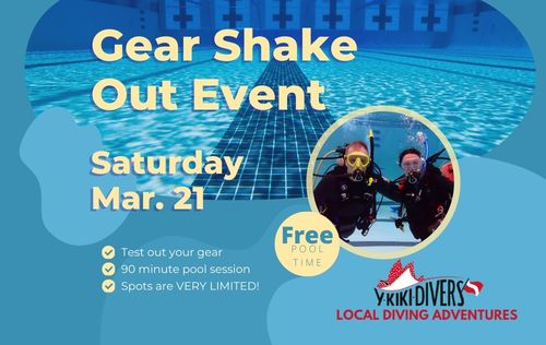Gear Shake Out