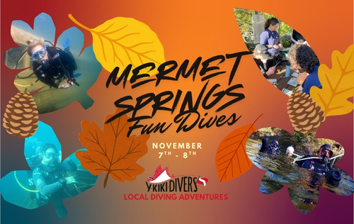 Mermet Springs