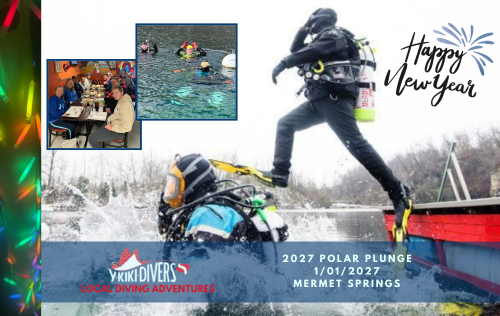 Polar Plunge Polar Plunge