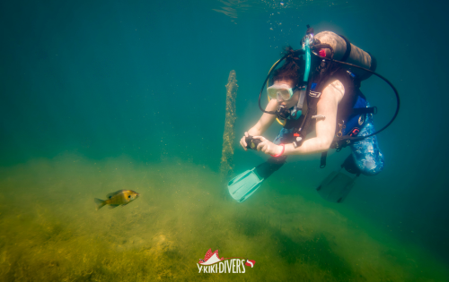 Digital Underwater Photographer - Level 2