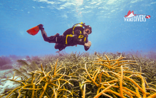Peak Performance Buoyancy