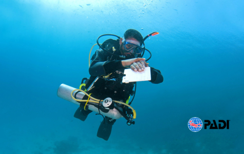 Self-reliant Diver