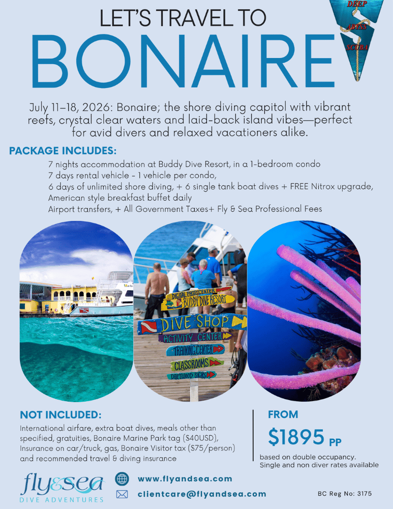 Bonaire - July 11-18 2026