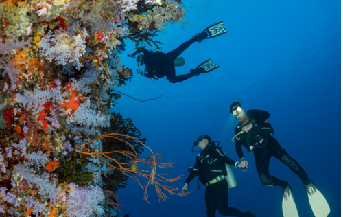 Fiji  - Taveuni Island 21-28 June 2026 - SOLD OUT