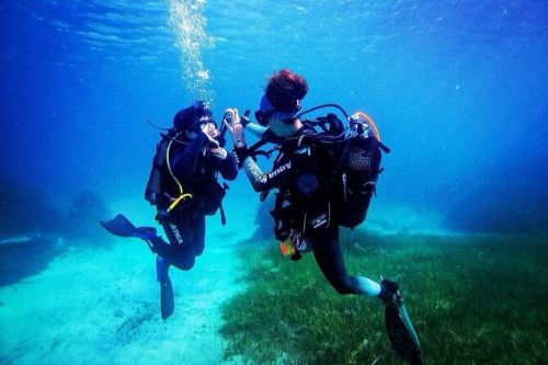 Open Water Course - Open Water Sessions