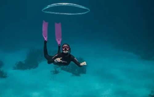 Basic Free Diving (4-8hrs)