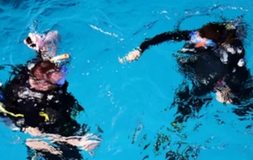 Open Water Diver REFERRAL