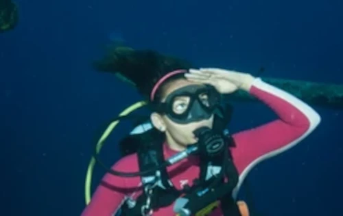 One Tank Wrecks Or Wall