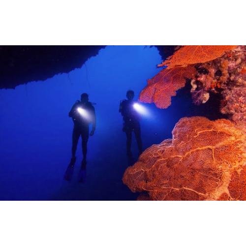 Master Scuba Diver