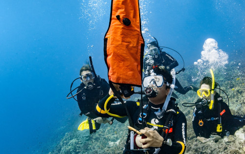 PADI Delayed Surface Marker Buoy (DSMB) Diver