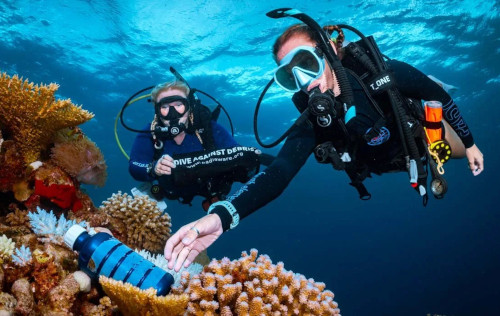 Dive Against Debris Specialty