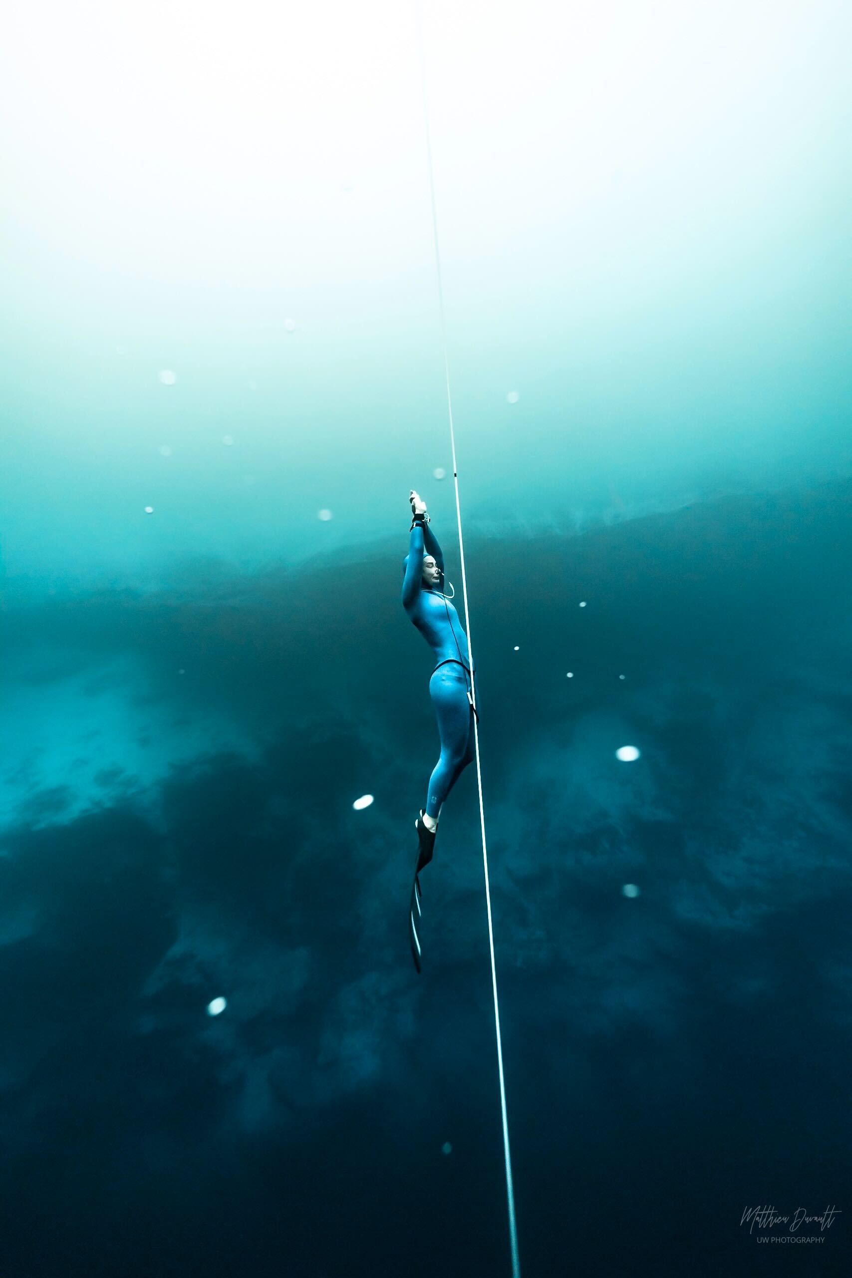 Basic Freediver