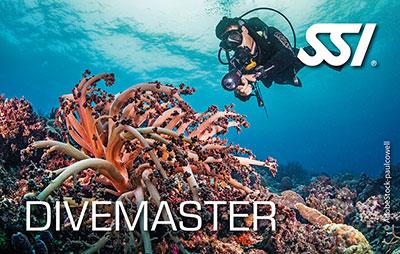 Dive Master