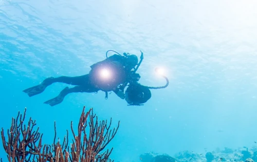 Underwater Photographer