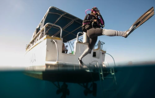 Boat Diver
