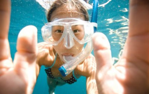 Snorkeling Snorkeling