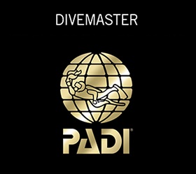 Divemasters
