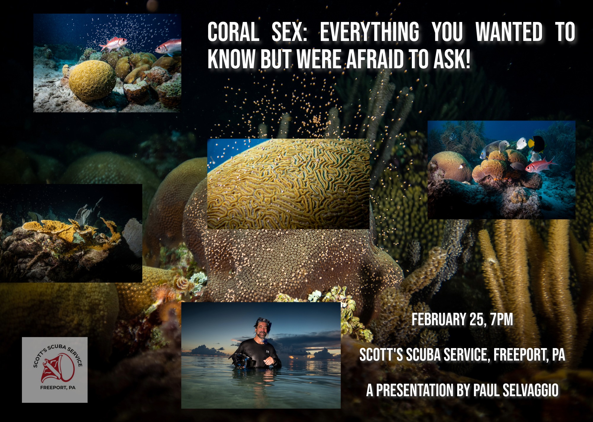 Coral Sex: Everything You Wanted to Know but Were Afraid to Ask!