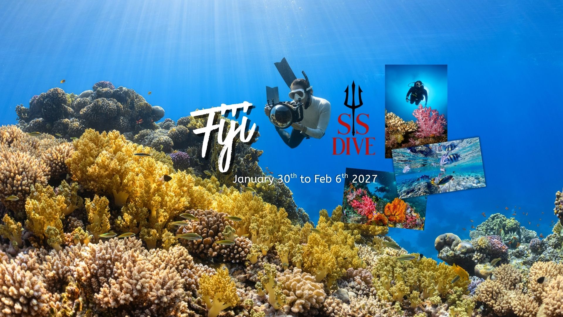 Fiji ~ Paradise Taveuni ~ Soft Coral Capital of the World!