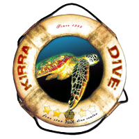 Kirra Dive