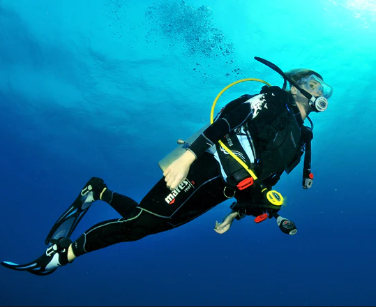 Cook SCUBA: 1 Tank / Certified