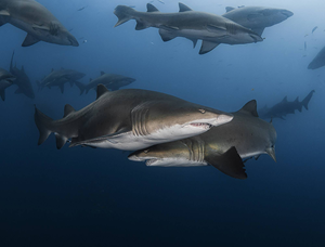 Advanced location SCUBA