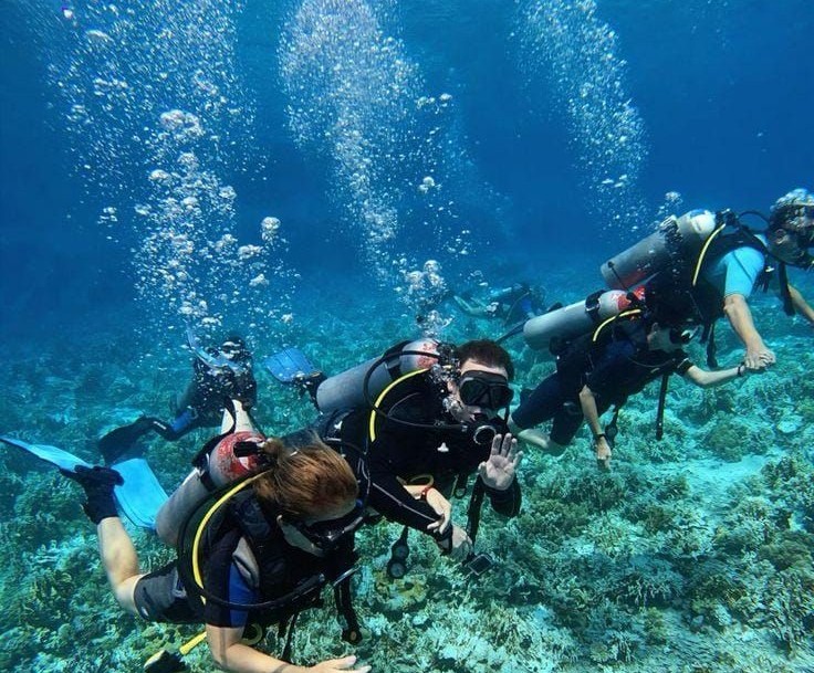 PADI OPEN WATER (3days)