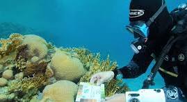 Citizen Science Diver